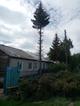 Промышленный альпинист Омск